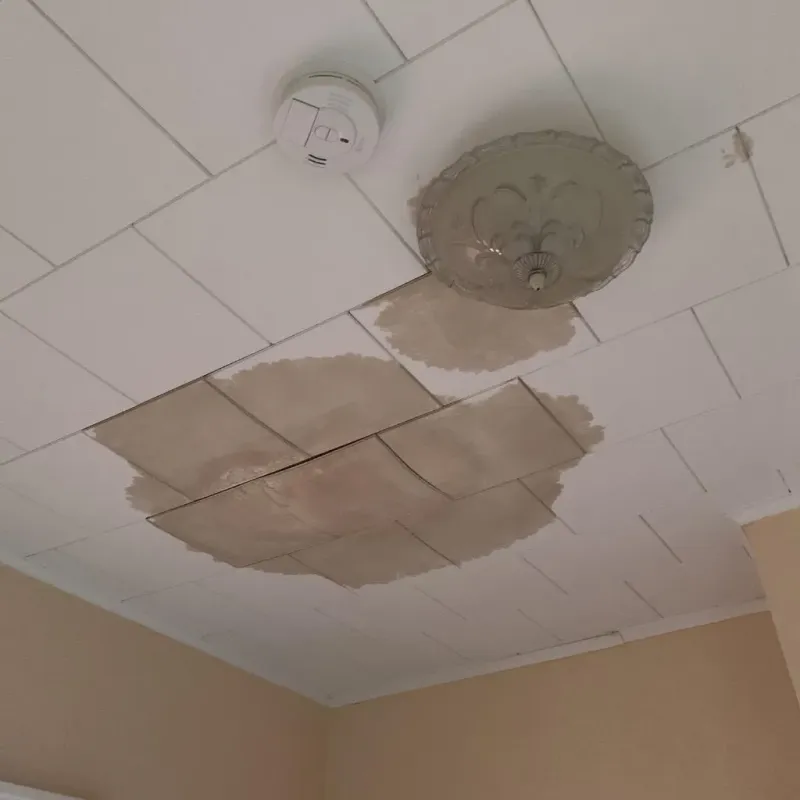 Ceiling Water Damage Repair in Cowan, TN