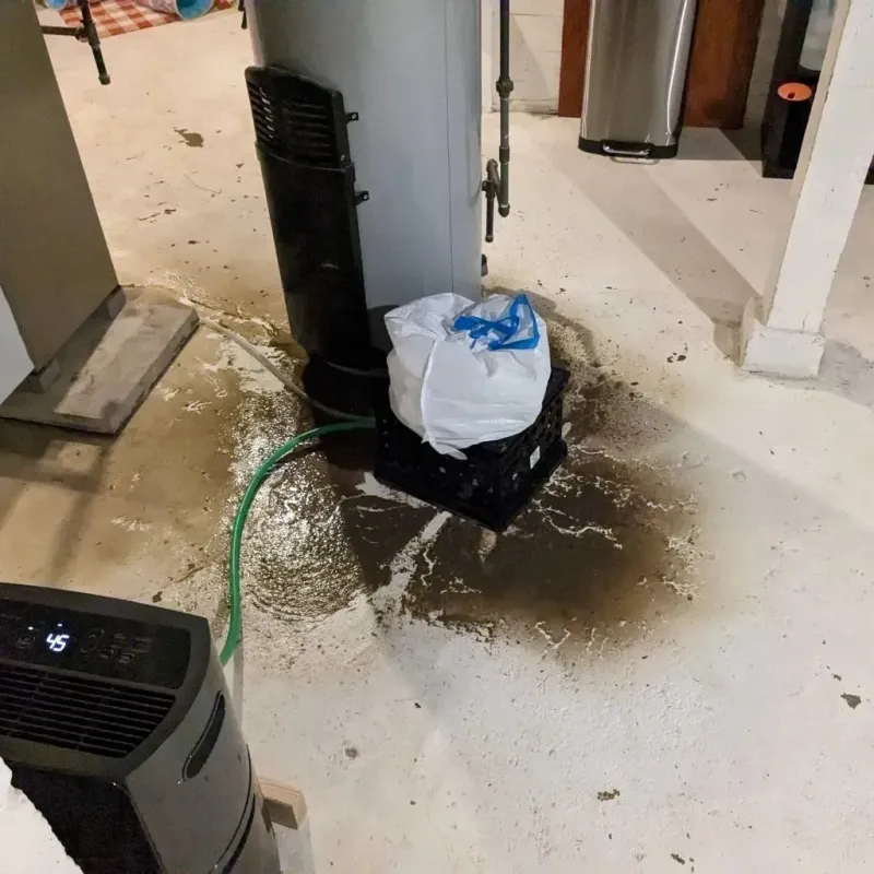 Sewage Backup Cleanup Service in Cowan, TN